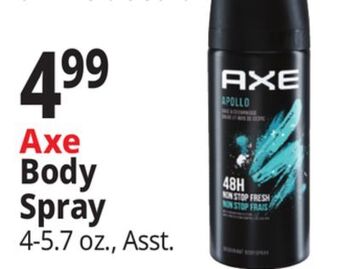Ocean State Job Lot Axe body spray offer