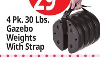 Ocean State Job Lot Us weight canopy weight plates with strap, 4-count offer