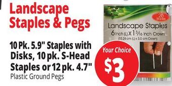 Ocean State Job Lot Tiller & rowe landscape staples with buttons, 10 count offer