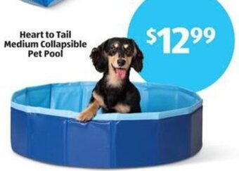 Aldi Heart to Tail Medium Collapsible Pet Pool offer