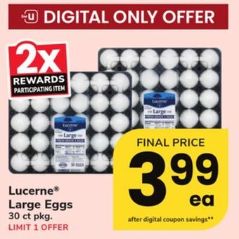 ACME Lucerne® large eggs offer