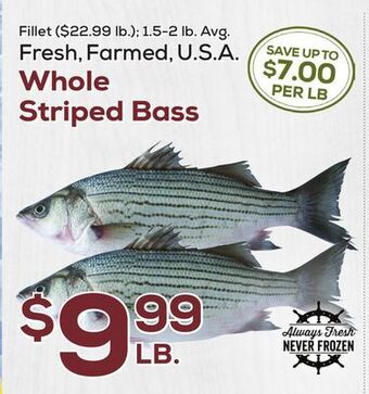 DeCicco & Sons Whole striped bass offer