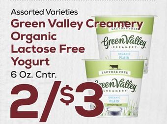 DeCicco & Sons Green valley creamery organic lactose free yogurt offer