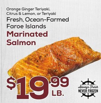 DeCicco & Sons Marinated salmon offer