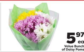 Weis Markets Value bunch of daisy poms offer