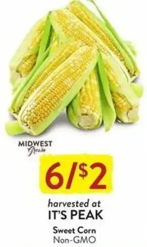 Fresh Thyme Harvested At It's Peak Sweet Corn Non-GMO offer