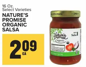 Food Lion Nature's Promise Organic Salsa 16 oz offer