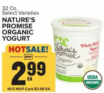 Food Lion Nature's Promise Organic Yogurt 32 oz offer