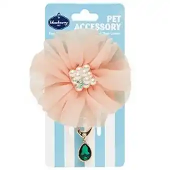 Kohl's Blueberry pet flower & green teardrop charm dog collar accessory set offer