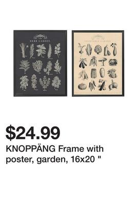 Ikea Knoppäng frame with poster, garden, 16x20 offer