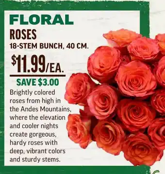Central Market Floral Roses 18-Stem Bunch offer