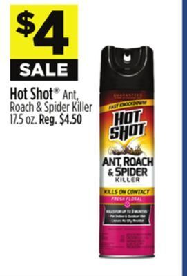 Dollar General Hot shot® ant, roach & spider killer offer