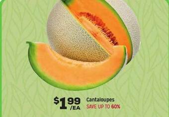 Grocery Outlet Cantaloupes offer