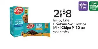 Publix Enjoy Life Cookies 6-6.3-Oz Or Mini Chips 9-10-Oz offer