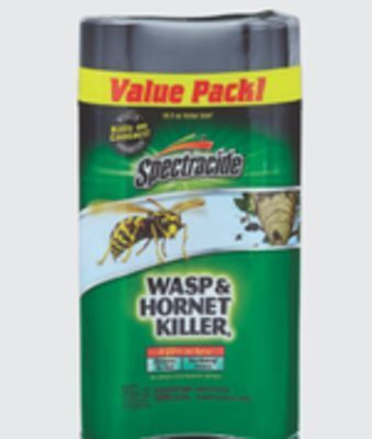 The Home Depot 2-pack 18.5 oz. wasp & hornet killer spray offer