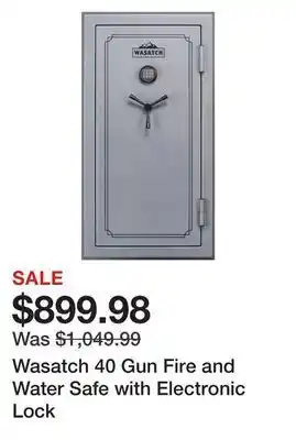 Dick's Sporting Goods Wasatch 40 gun fire and water safe with electronic lock offer