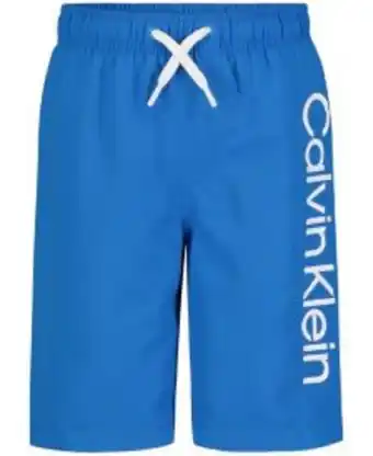 Macy's Big boys swim trunks offer