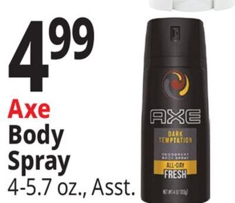 Ocean State Job Lot Axe body spray offer