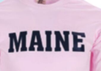 Ocean State Job Lot Long sleeved t-shirts offer