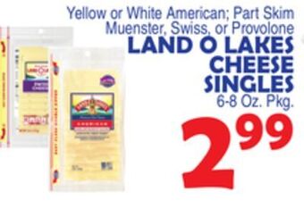 Bravo Supermarkets Land o lakes cheese singles offer