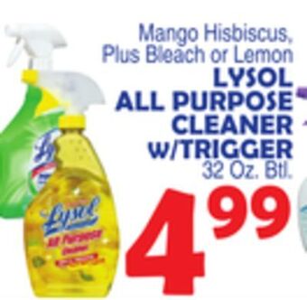 Bravo Supermarkets Lysol all purpose cleaner w/trigger offer
