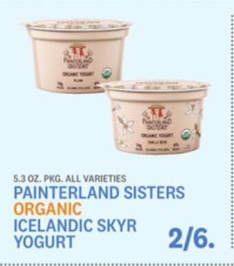 Kings Food Markets Painterland sisters organic icelandic skyr yogurt offer
