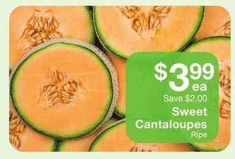 Fairway Store Market Sweet cantaloupes offer