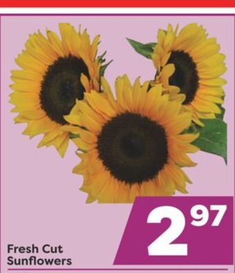 Weis Markets Fresh cut sunflowers offer
