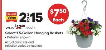 Lowe's Select 1.5-gallon hanging baskets offer