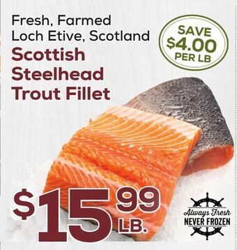 DeCicco & Sons Scottish steelhead trout fillet offer