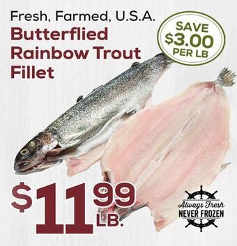 DeCicco & Sons Butterflied rainbow trout fillet offer