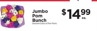 ShopRite Jumbo pom bunch offer