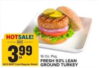 Food Lion 16 Oz. Pkg. FRESH 93% LEAN GROUND TURKEY offer
