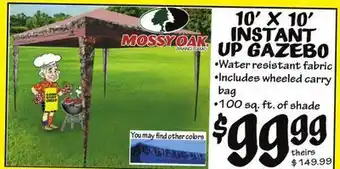 Ollie's Mossy oak 10' x 10' instant up gazebo offer