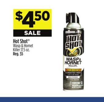 Dollar General Hot shot® wasp & hornet killer offer