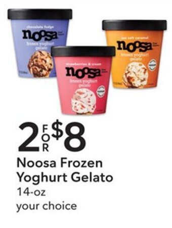 Publix Noosa Frozen Yoghurt Gelato 14-oz offer