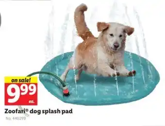 Lidl Zoofari® dog splash pad offer