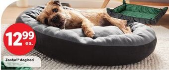Lidl Zoofari® dog bed offer