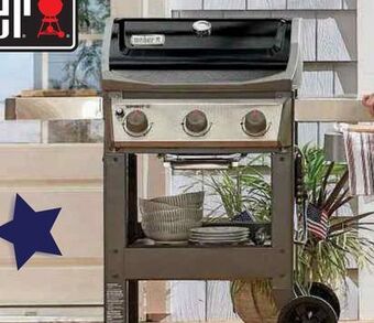 Ace Hardware Weber® spirit® ii e-310 gas grill offer