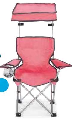 Ace Hardware Kid's folding canopy chair offer