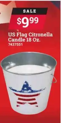Ace Hardware Us flag citronella candle offer