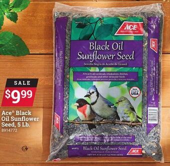 Ace Hardware Ace® black oil sunflower seed, 5 lb. offer