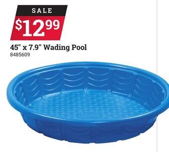 Ace Hardware 45 x 7.9 wading pool offer