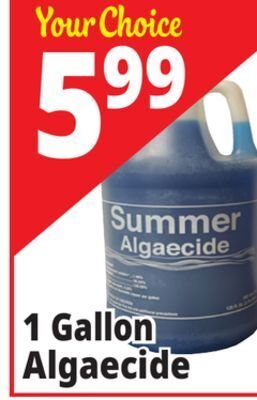 Ocean State Job Lot Summer algaecide, 1 gal offer