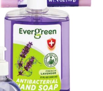 Ocean State Job Lot Evergreen antibacterial liquid hand soap offer