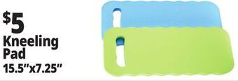 Ocean State Job Lot Kneeling pad offer