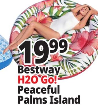 Ocean State Job Lot Bestway h2o go! peaceful palms island offer
