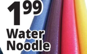 Ocean State Job Lot Assorted pool noodles offer