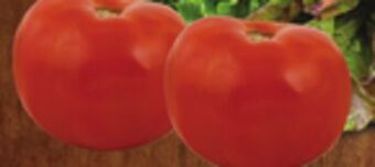 ACME Vine ripe tomatoes offer
