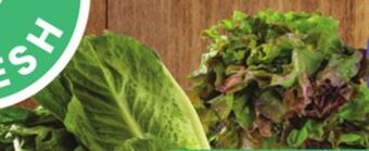 ACME Romaine, red or green leaf lettuce offer